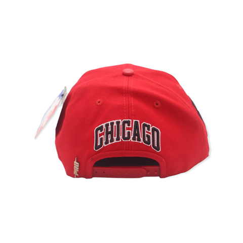 PRO STANDARD BULLS SNAP BACK