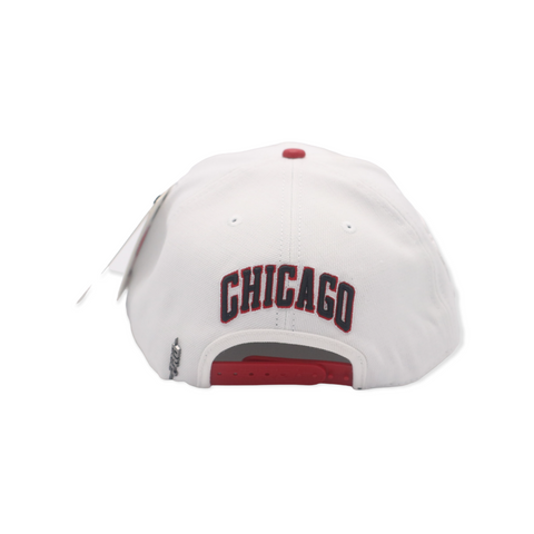 PRO STANDARD BULLS SNAPBACK