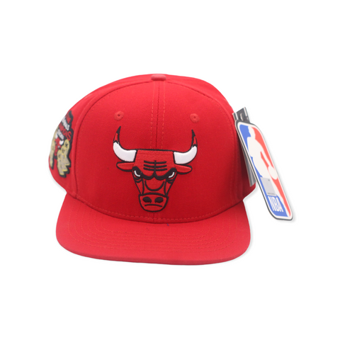 PRO STANDARD BULLS SNAP BACK