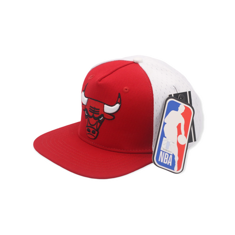 PRO STANDARD BULLS SNAPBACK