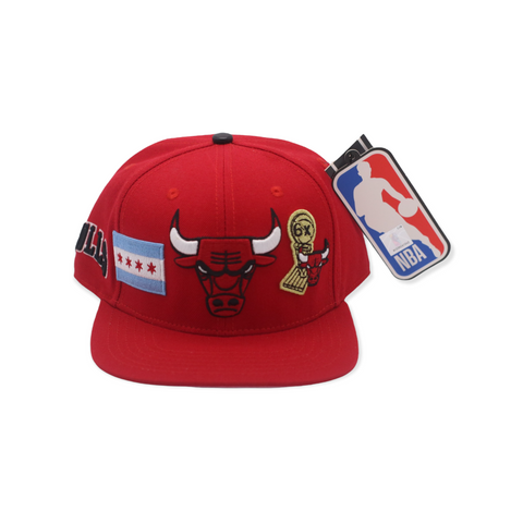 PRO STANDARD BULLS SNAPBACK